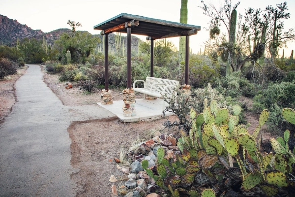 Desert Discovery Nature Trail, Saguaro National Park