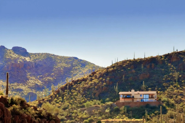 Desert Trails Bed & Breakfast near Saguaro East