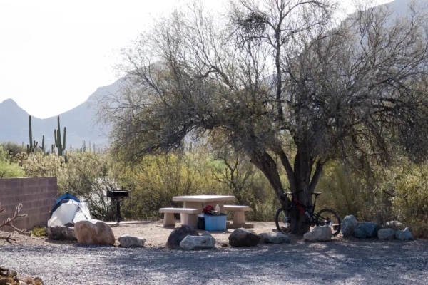 Gilbert Ray Campground in Tucson Mountain Park