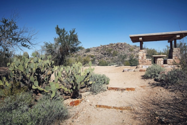 Petroglyphs at Signal Hill, Saguaro National Park