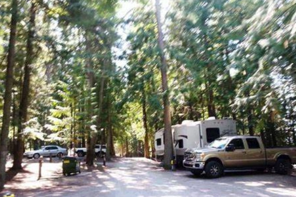Springy Point Campground