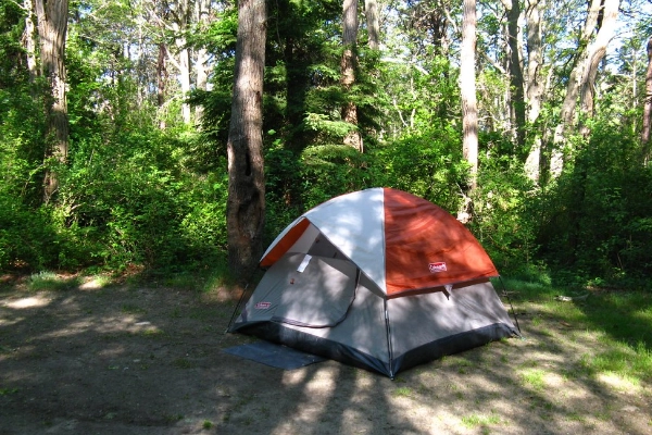 Camping at Shawme-Crowell State Forest