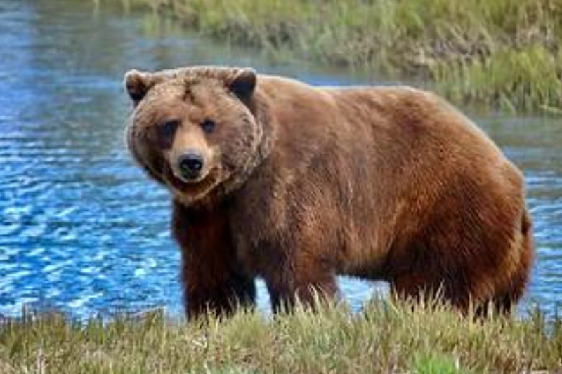 Explore Talkeetna, Alaska