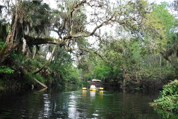Camping at Hillsborough River State Park
