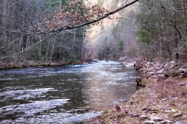 Tellico River