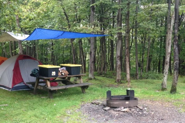 Blackwater Falls State Park Campground