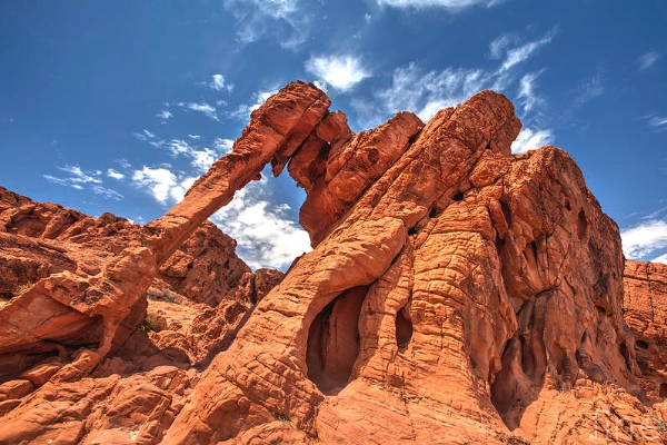 Elephant Rock