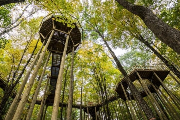 Vermont Institute of Natural Science (VINS), Quechee
