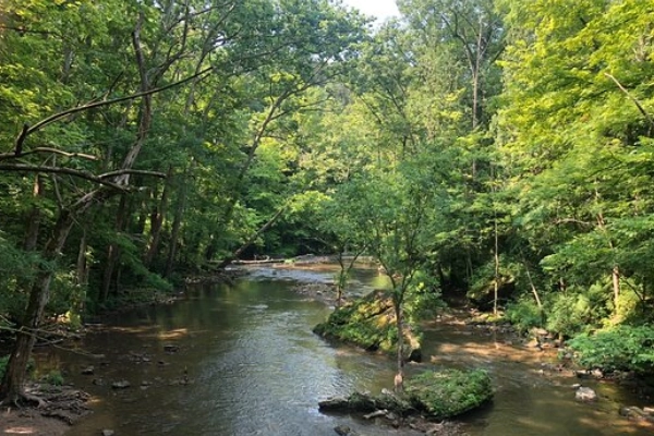 John Bryan State Park gorge, Yellow Springs
