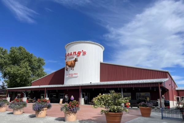 Young's Jersey Dairy, Yellow Springs