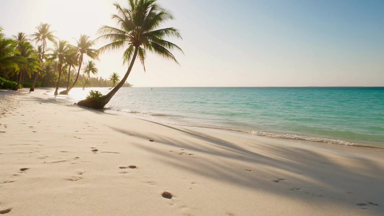 Colorful tropical travel highlights for Off Beat Pathfinder