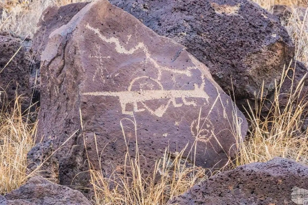 Ancient petroglyphs at the Petroglyph National Monument