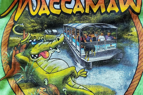 A swamp boat on the Waccamaw River