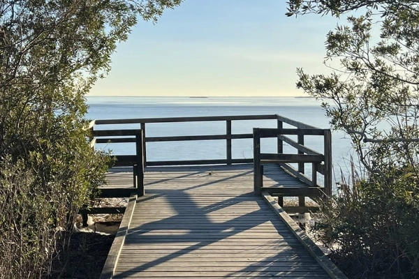 A tram tour going through the Back Bay National Wildlife Refuge