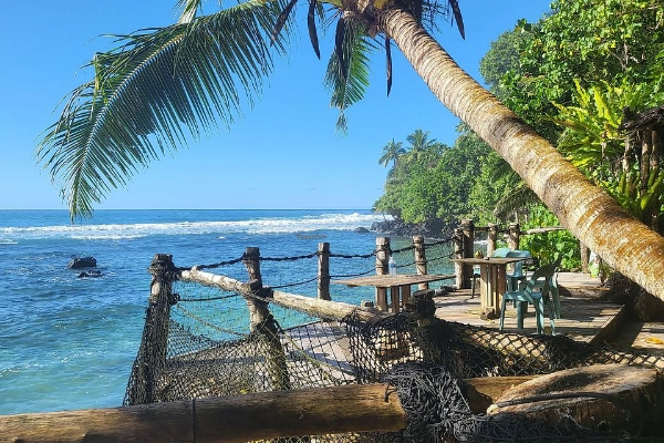 A plate of palusami at Tisa’s Barefoot Bar