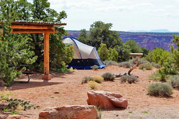 A campsite at Willow Flat with a view of the stars
