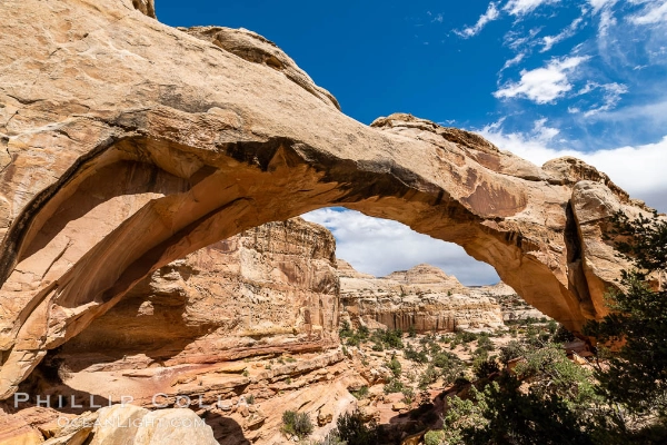 The massive natural arch of Hickman Bridge against a blue sky