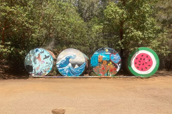 Colorful trail markers on Santa Cruz Island that mix hiking with storytelling