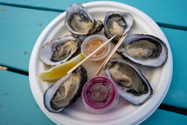 Fresh oysters on the half shell from The Jolly Oyster