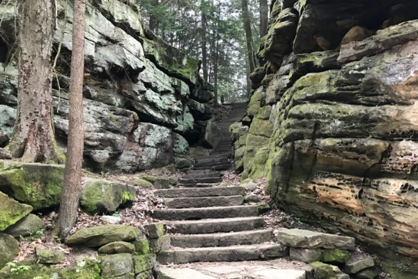 A view of the forest from the sandstone cliffs of Ledges Overlook