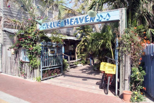 An outdoor dining table at Blue Heaven with roosters walking by