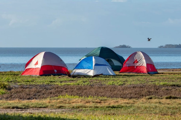 A tent set up at Flamingo Campground with a view of the water
