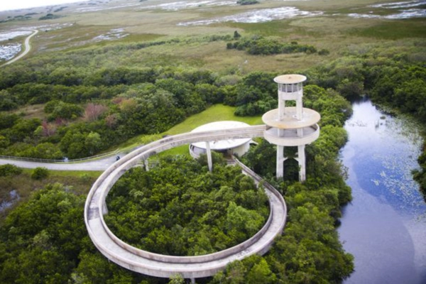 The panoramic view from the top of the Shark Valley Observation Tower
