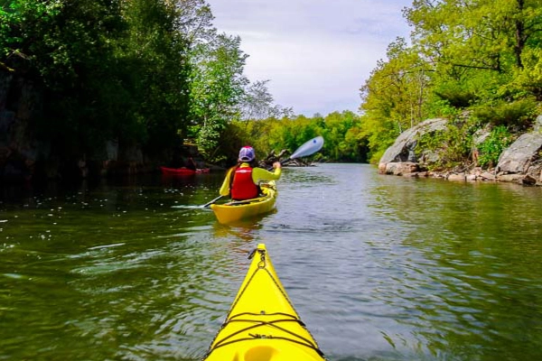 A kayaker paddling through the mangrove labyrinth of the Ten Thousand Islands