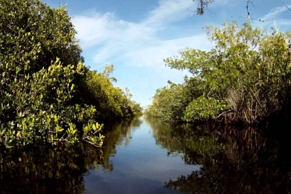 A canoe navigating a narrow passage on the Wilderness Waterway
