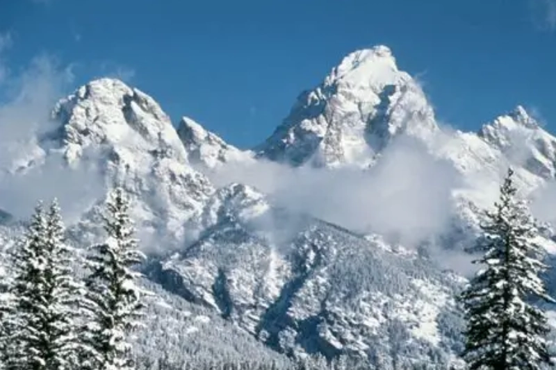 Grand Teton National Park Moose, Wyoming