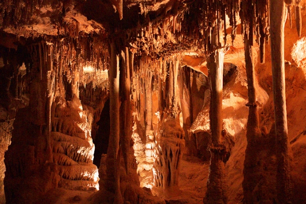 Elaborate shield formations inside the subterranean wonderland of Lehman Caves