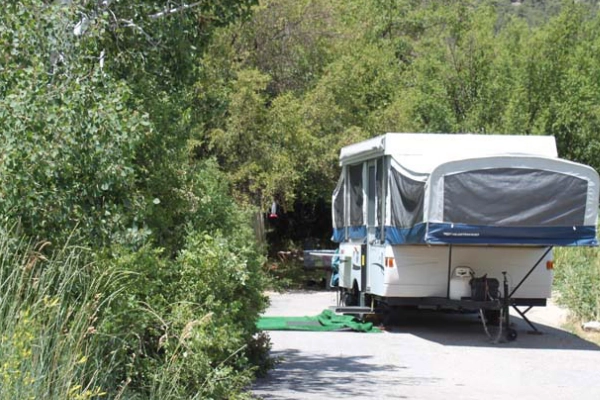 A campsite at Lower Lehman Creek Campground with a starry night sky above