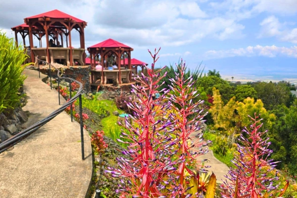 A wood-fired pizza with a stunning mountain view at Kula Lodge