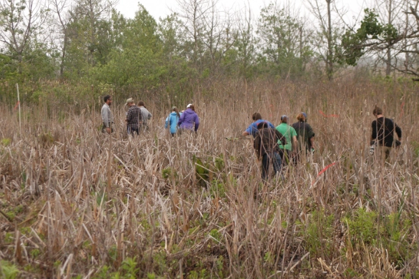 The lush, rare wetlands of Cowles Bog