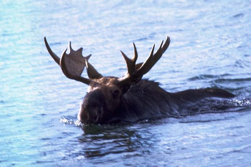 Isle Royale National Park Houghton, Michigan