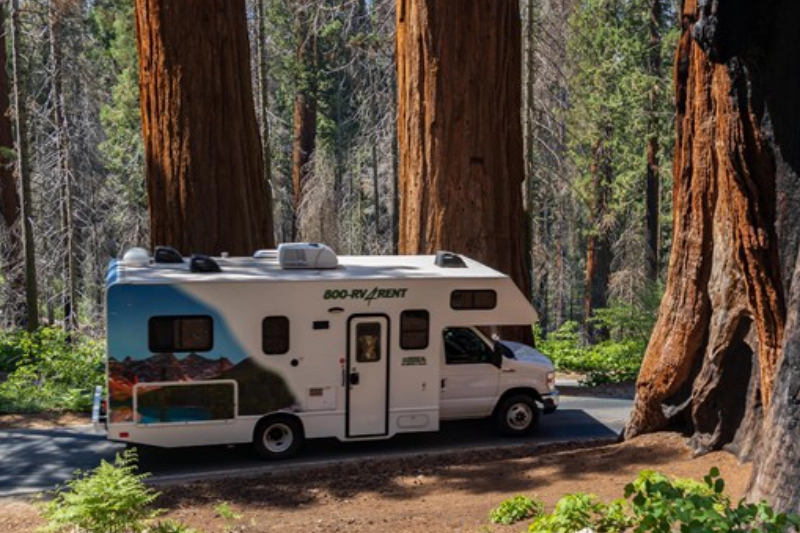 Kings Canyon National Park Three Rivers, California