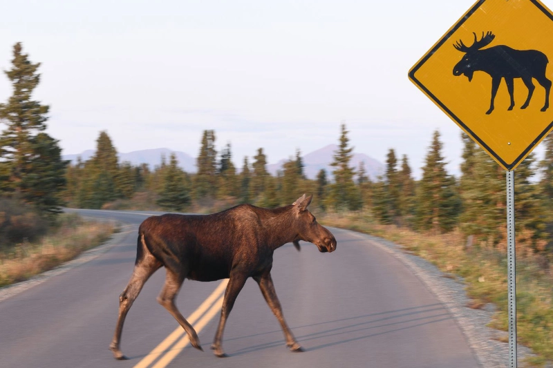 Kobuk Valley National Park Kotzebue, Alaska