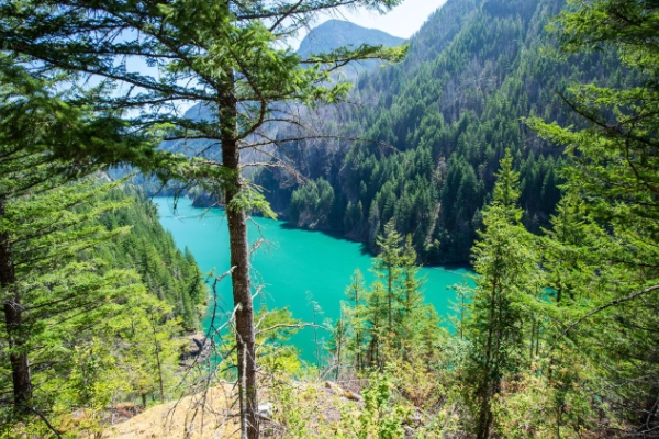 A stunning overlook of a lake with incredibly turquoise water