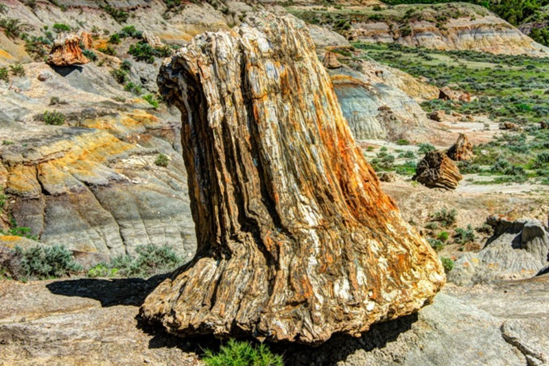 Petrified Forest National Park Holbrook, Arizona