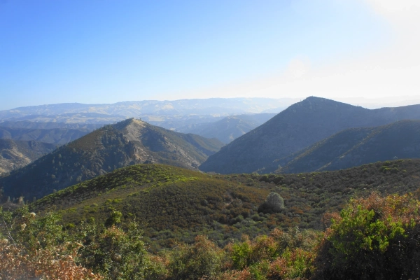 A panoramic view from the highest point in the park