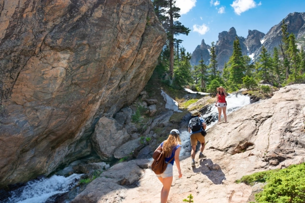 A hiker on a trail surrounded by summer wildflowers and mountains