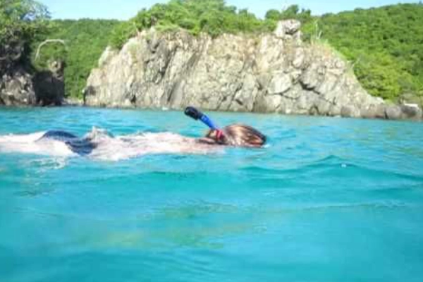 An underwater view of a coral reef with colorful fish on a snorkel trail