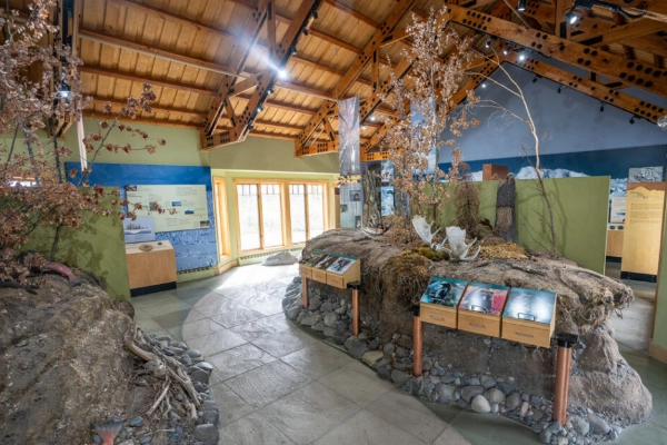 A historic 1920s ranger cabin with old trapper tools and Athabascan crafts