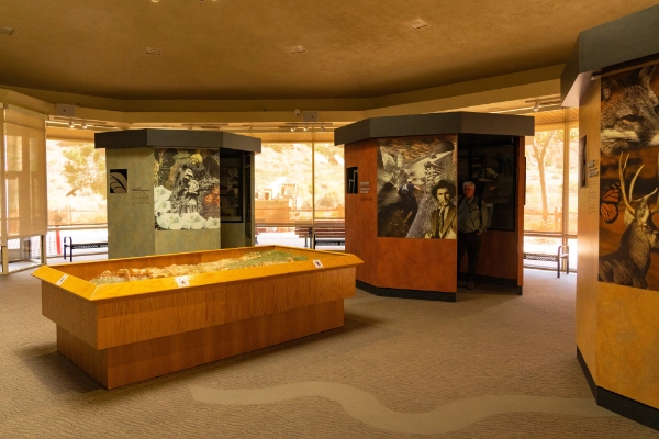 A museum displaying a mix of pioneer tools and Paiute crafts