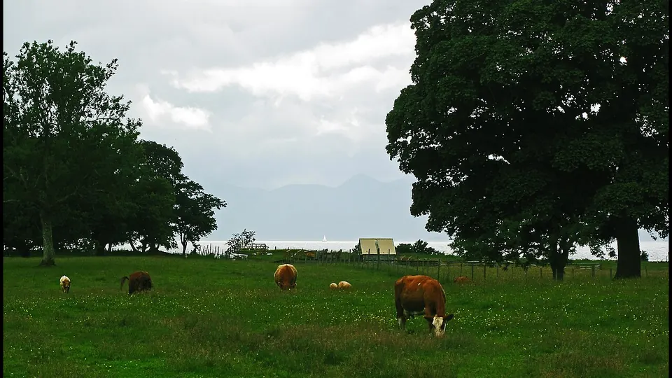 Applecross Highlands destination photo: Buttercup ^ Boats. Near Applecross village. - panoramio