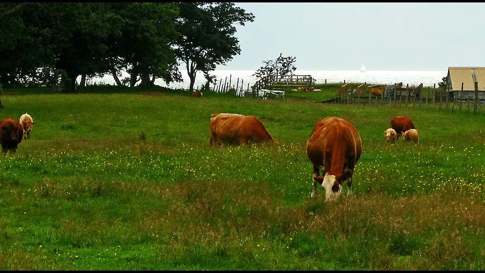 Applecross Highlands destination photo: Cowes^ Near Applecross village. - panoramio