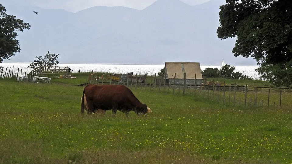 Applecross Highlands destination photo: Estate grounds nr. Applecross village. - panoramio