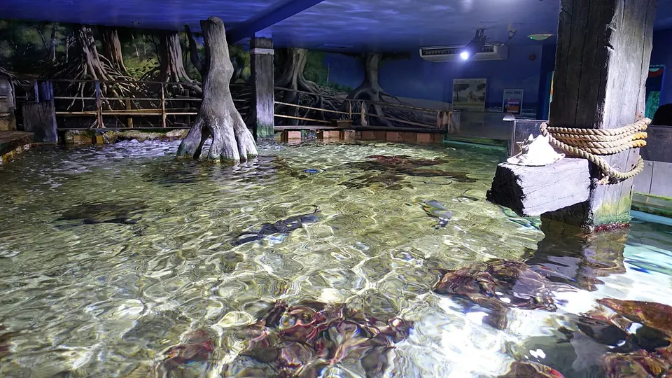 Bournemouth destination photo: Bournemouth - Oceanarium 2