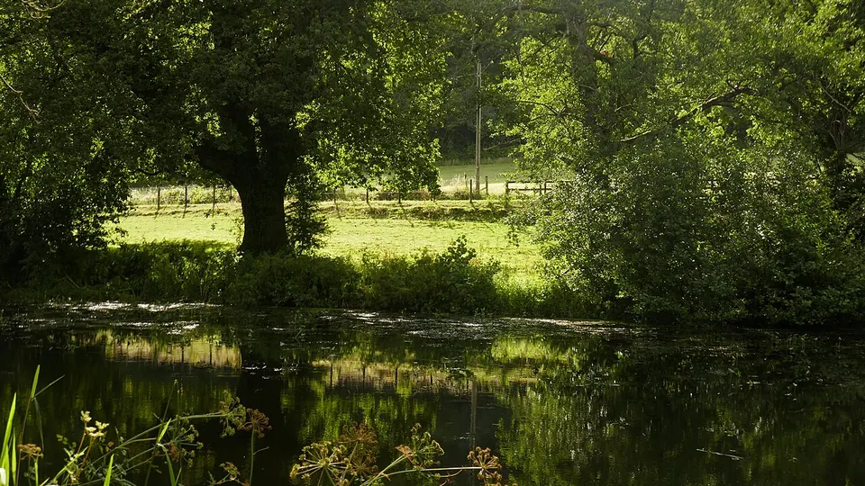 Brecon Beacons / Bannau Brycheiniog destination photo: Bannau Brycheiniog Sunlight