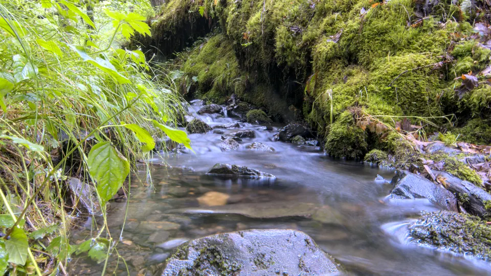 Brecon Beacons / Bannau Brycheiniog destination photo: A Stream in Bannau Brycheiniog